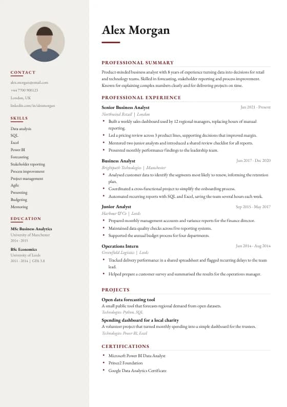 Chairman CV template preview