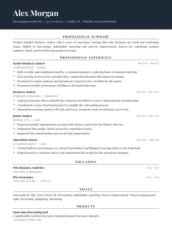 Director CV template preview