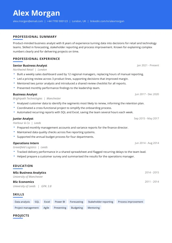 Horizon CV template preview